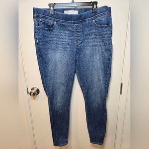 Signature by Levi Strauss Classic Blue Jeans